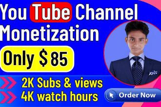 do organically youtube channel monetization for promotion