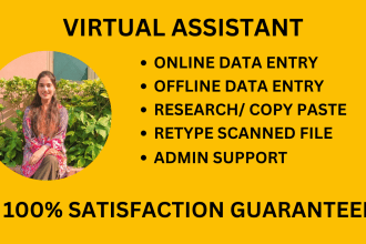 be your virtual assistant for data entry and admin support