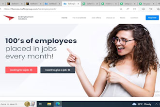 install wordpress, setup theme
