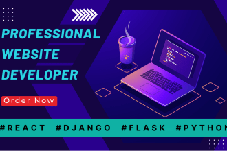do python django react js website as a full stack developer