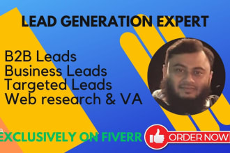 do VA job, b2b and google map lead generation, web research
