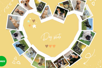 create attractive photo collage and photo slideshow video