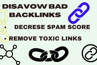 disavow bad backlinks,spammy links and audit your website