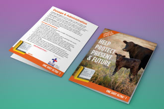 design brochure, company profile, proposal, or annual report
