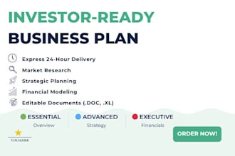 write a professional investor ready business plan for your startup