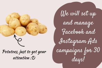 be your facebook ads campaign manager for 1 month