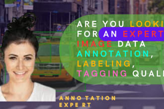 be image data annotation, labeling, tagging quality expert