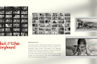 draw a professional storyboard for any projects