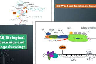 provide word pencil art for molecular students