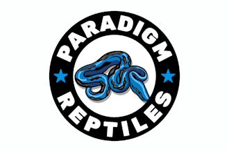 do fantastically structured paradigm reptiles logo