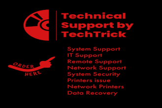 provide expert IT support and networking solutions