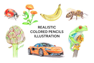 draw a realistic colored pencil illustration for you