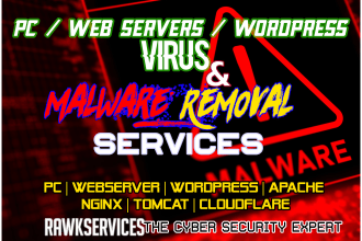 provide expert malware removal and virus removal services