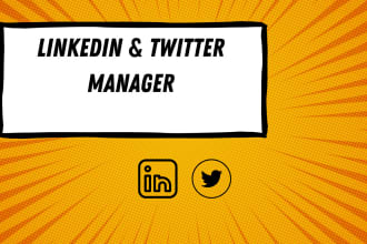 be your social media manager for linkedin and twitter