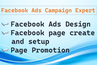 be social media manager do facebook ads and fb ad campaign