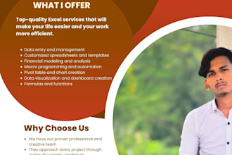 do data entry , website designing, logo creation