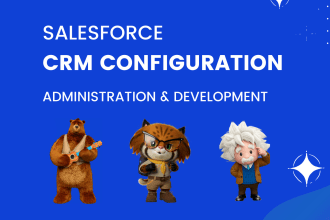 do salesforce development and configuration