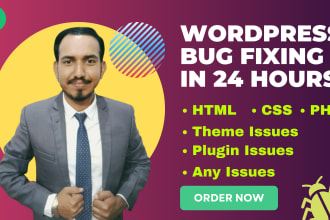 fix any wordpress bug or error within 24 hours