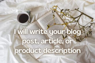 write your blog posts and product descriptions