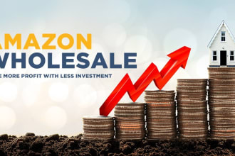 be your amazon wholesale fba partner for USA amazon com