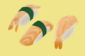 draw food illustration for you
