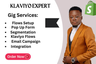 set up klaviyo flows, shopify email marketing flows in klaviyo and sales funnel
