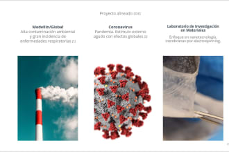 diagram your presentation in a scientific and professional style