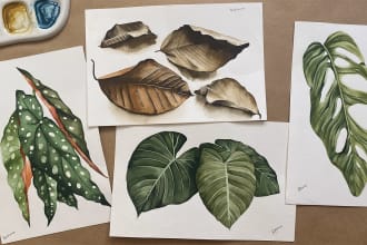 do a watercolor botanical illustration