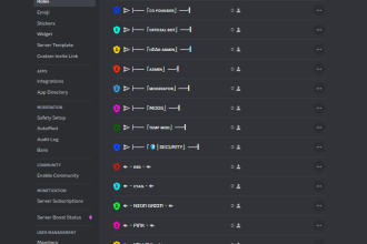 design a perfect discord server in 24 hours