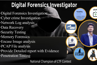 do digital forensics, malware and log analysis, cybercrime investigation