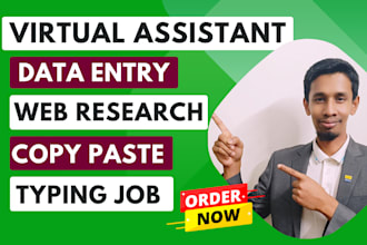 do data entry expert web research copy paste and efficient service