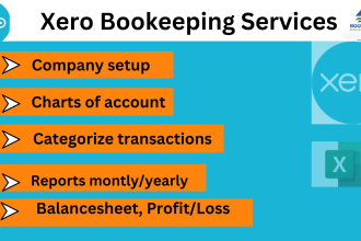 do fast xero bookkeeping and accounting services
