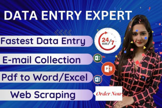 do data entry, data mining, internet research and copy paste