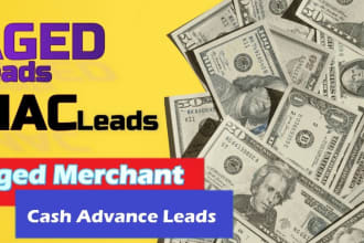 provide aged merchant cash advance leads