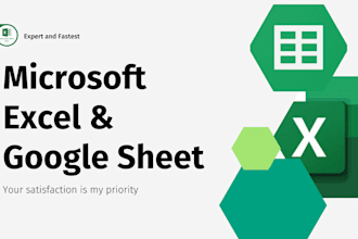 do the fastest and expert data entry in excel, google sheet