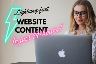 be your 24 hour SEO website content writer and copywriter
