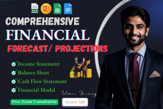 provide investor ready financial projections, forecast and financial model