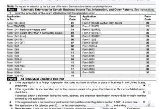 file business tax extension