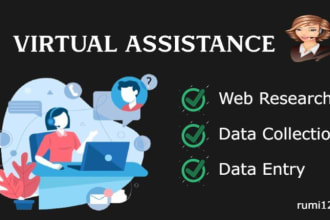 virtual assistance for web research and data collection