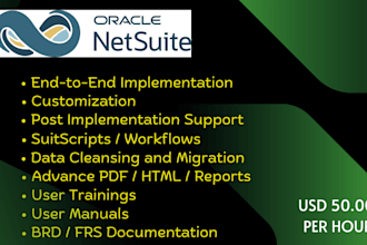 do netsuite functional and scripting and customization