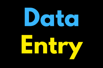 accurate data entry, web research or any copy and paste work