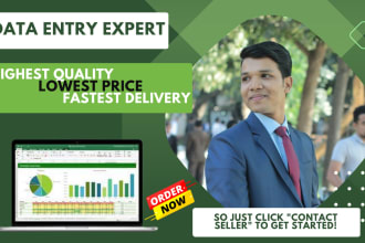 be your excel sheet creator and data entry operator
