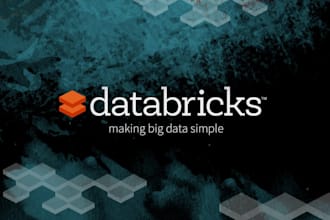 help you with data bricks
