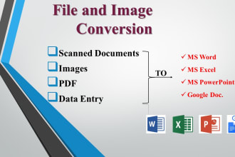 convert PDF to word, pdf to excel, copy paste, data entry