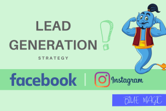 soar lead generation of facebook and instagram ad campaign