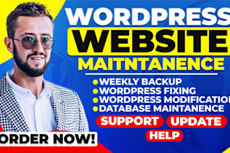 do website maintenance and provide wordpress website update, help and support