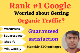 monthly SEO service for your website any platform ranking