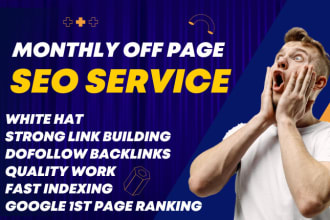 do monthly off page SEO to rank your website