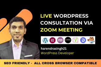 help or provide live wordpress consultation via zoom meeting