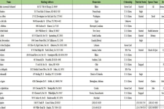 do perfect excel data entry